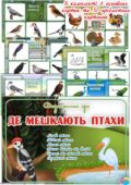 Дидактична гра “Де мешкають птахи”
