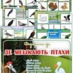 Дидактична гра “Де мешкають птахи”