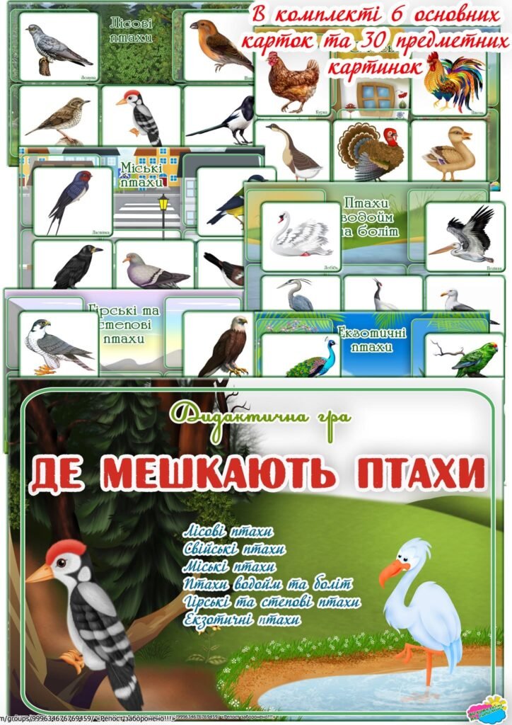 Головне зображення розробки: Дидактична гра “Де мешкають птахи”