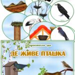 Дидактична гра “Де живе пташка”