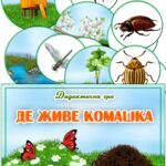 Дидактична гра “Де живе комашка?”