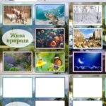 Уміння ділити об’єкти на класи відповідно до заданої основи. Гра “Жива – нежива природа”