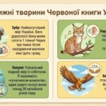 Фото розробки: МЕГАНАБІР ДО ДНЯ ЗАХИСТУ ТВАРИН — 4 ЖОВТНЯ (презентація + плакат + розтяжка + робочі арк + мегарозмальовка + пам’ятка))