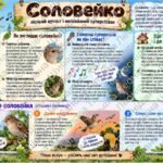 Фото розробки: Дидактичний матеріал “Зимуючі та перелітні птахи”