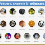 Фото розробки: Мережі для отримання інформації та спілкування (Гільберг 2 клас)
