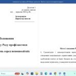 Фото розробки: Папка про шкільну Раду профілактики правопорушень