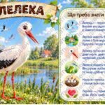 Фото розробки: Дидактичний матеріал “Зимуючі та перелітні птахи”: блок другий “Перелітні птахи”
