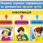 Фото розробки: Види інформації за способом подання (Гільберг 2 клас)