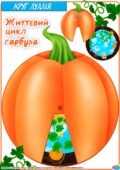 Круг Луллія “Життєвий цикл гарбуза”