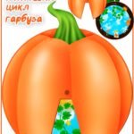 Круг Луллія “Життєвий цикл гарбуза”