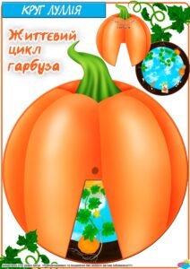 Круг Луллія “Життєвий цикл гарбуза”
