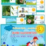 Дидактична гра “Живі барометри або як наші предки передбачали погоду”
