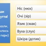 Фото розробки: Інформація та інформаційні повідомлення (інформатика Воронцова 2 клас)