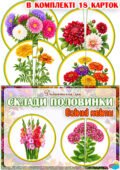 Дидактична гра “Склади половинки. Осінні квіти”