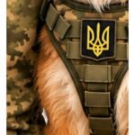 Фото розробки: Ростові фігури «ЗАХИСНИК ТА ЗАХИСНИЦЯ УКРАЇНИ» висота 1.66 м та 1.39 м