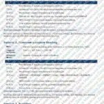 Фото розробки: Підготовка до НМТ-2027 з англійської мови: 7 місяців — 56 занять