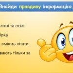 Фото розробки: Підсумок І семестру (інформатика Морзе 2 клас 2024)