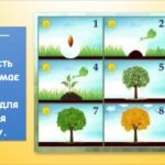 Фото розробки: Алгоритм. Складання алгоритму (Морзе 2 клас 2024)