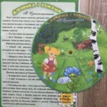 Фото розробки: Круг Луллія за сюжетом твору В. Сухомлинського “Дівчинка і ромашка”