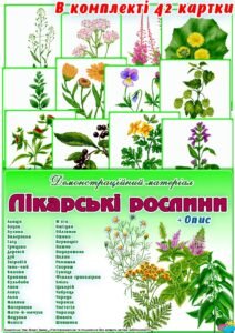 Демонстраційний матеріал “Лікарські рослини “