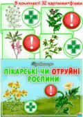 Дидактична гра “Лікарські чи отруйні рослини”