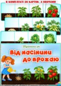 Дидактична гра “Від насінини до врожаю”