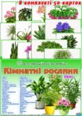 Демонстраційний матеріал “Кімнатні рослини”