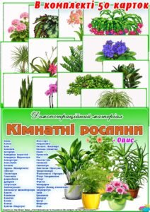 Демонстраційний матеріал “Кімнатні рослини”