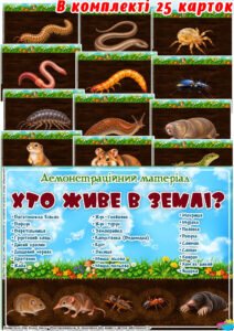 Демонстраційний матеріал “Хто живе в землі?”