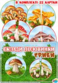 Дидактична гра “Склади половинки. Гриби”
