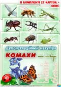 Демонстраційний матеріал “Комахи”