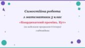Самостійна робота з математики 5 клас «Координатний промінь. Кут» з відповідями за програмою О.Істера