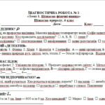 Діагностична робота №1 «Тема 1. Пізнаємо фізичні явища» з пізнаємо природу, 6 клас | Фізичні явища | НУШ